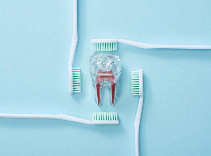 Endodoncija