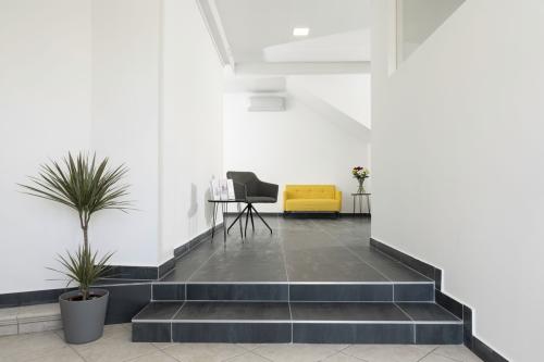 Dental-point galerija