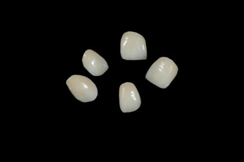 Dental-point galerija_39